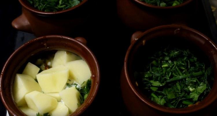 На следващо място, поставете зелените и нейните картофи.