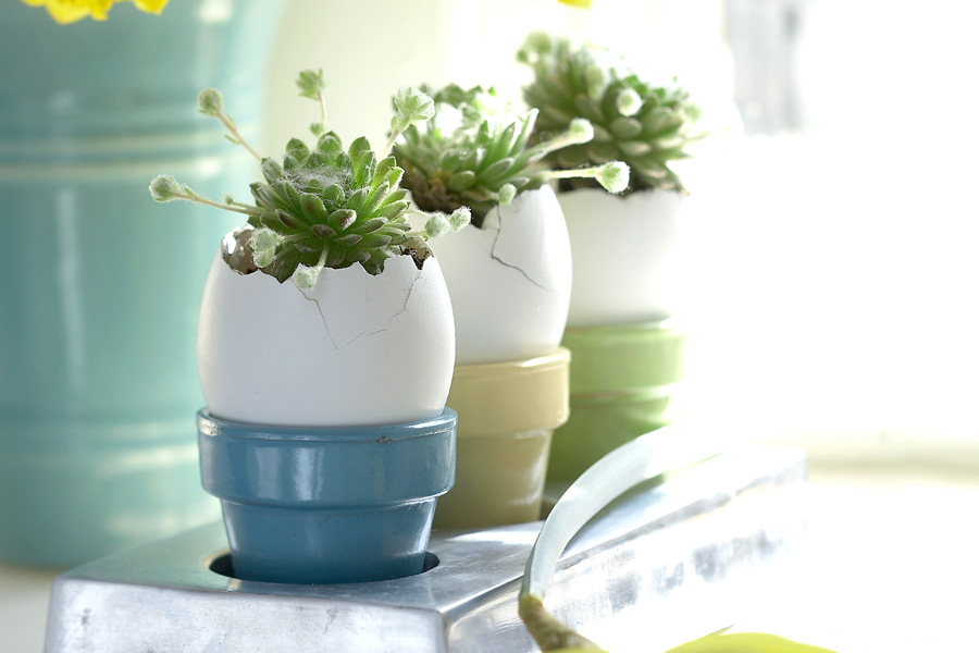 Cadeaux de Pâques bricolage