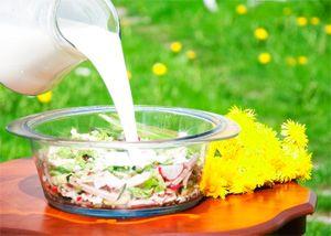 Okroshka auf einem Sommergebiet mit Gänseblümchen