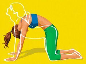 Bodyflex Cat Exercice Pour Ventre