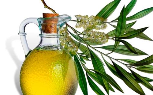 Oli d’arbre de te en una ampolla de vidre