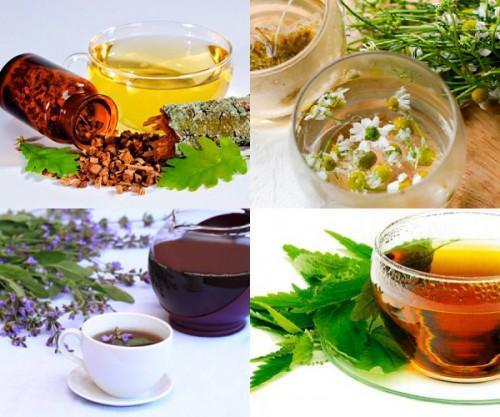 Dubová kůra sedmikráska šalvěj kopřivová paprika