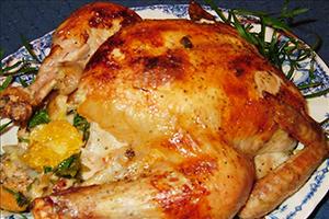 L’ocell es fregeix a una escorça taronja, com si es tractés d’una cançó infantil