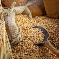 Avena sin terminar derramada de una bolsa de tela de saco