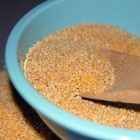 Los dranet de grano sin refinar son buenos para la dieta