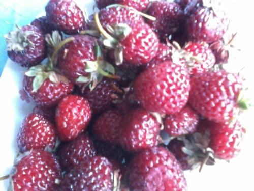 Грузия-stereotipy1a