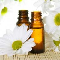 Bulles à la glycérine parmi les marguerites blanches