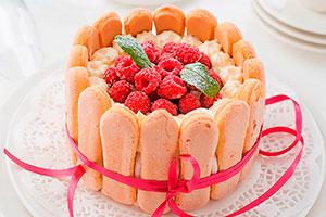 Francouzská Charlotte s pe