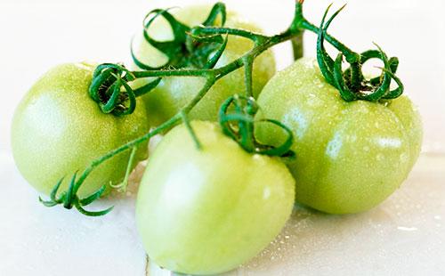 Tomates vertes