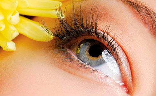 Yeux et cils