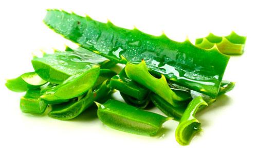 Tranches d'aloès