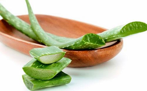 Aloe sur une assiette