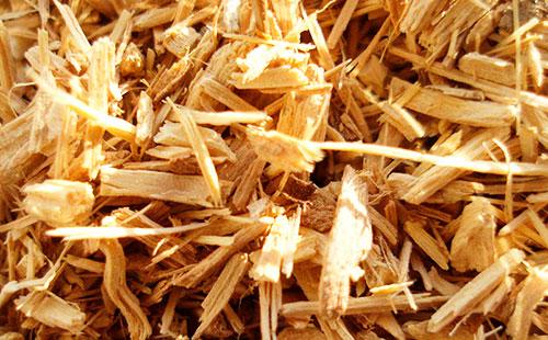 Éleuthérocoque sec