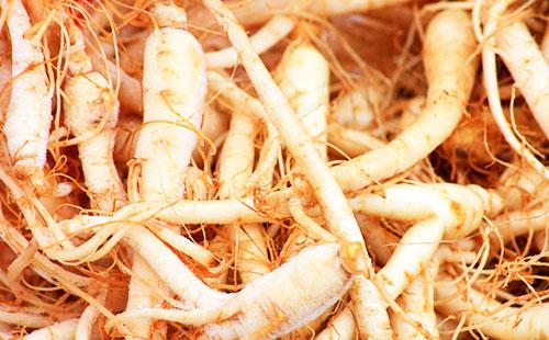 Racines de ginseng