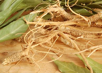 Racine de ginseng