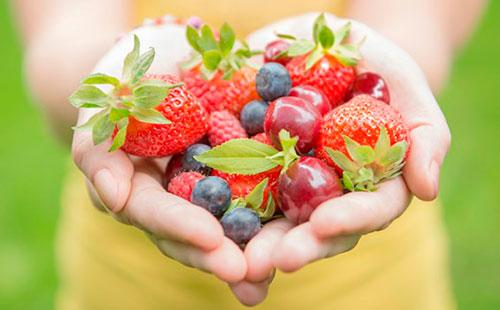 التوت في اليدين