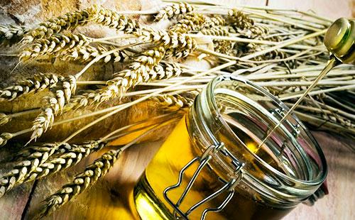 Épillets de blé et d'huile