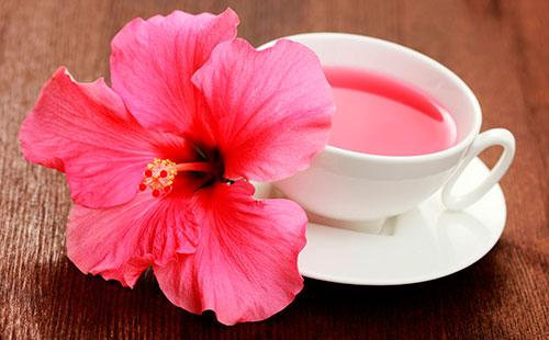 Hibiscus bir daire içinde