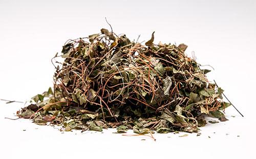 Racines et feuilles de pin séchées