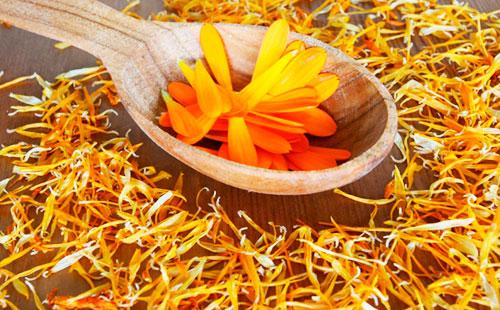 Flores de caléndula