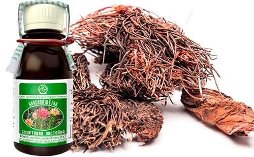 Raíces y tintura de un pincel rojo