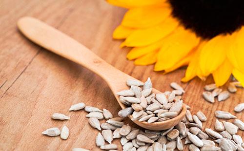 Graines de tournesol