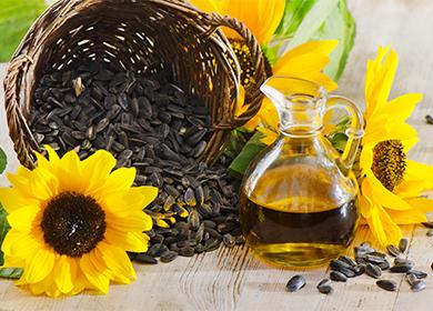 Graines de tournesol