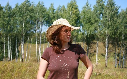 Apiculteur au travail