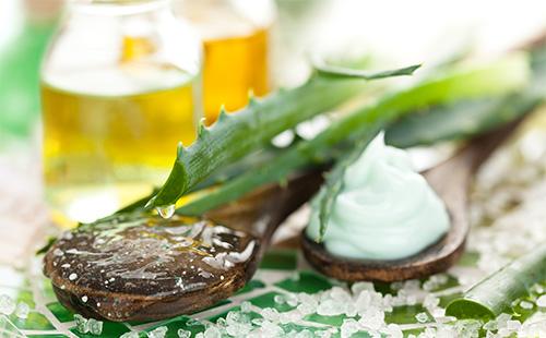 Tiges et jus d'aloe vera