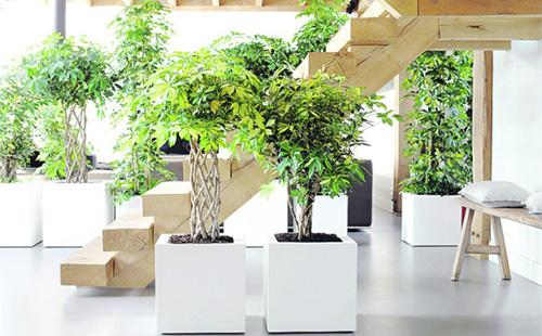 Interior de Scheffler