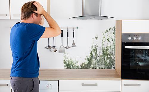 V kuchyni našel muž plíseň