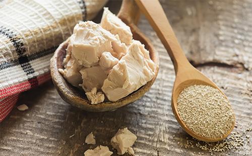 Levadura seca y fresca