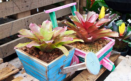 Dalawang ehmei sa kaldero