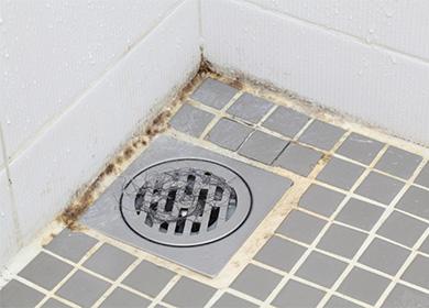 Piso sucio en la ducha