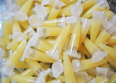 Balená cytokininová pasta