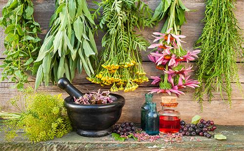 Herbes médicinales
