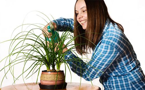 Babae na nag-spray nolina