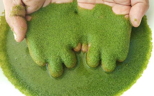 Zerdrückte Walnussschale