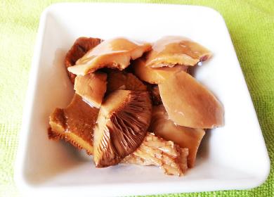 Russula salée dans une assiette