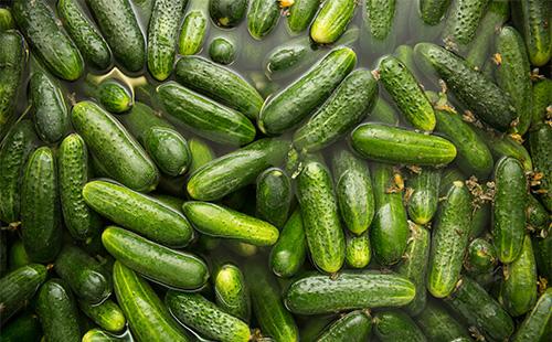 Ogale în apă înainte de decapare