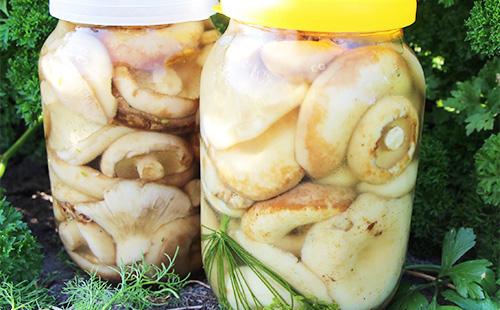 Borcanele marinate în borcane