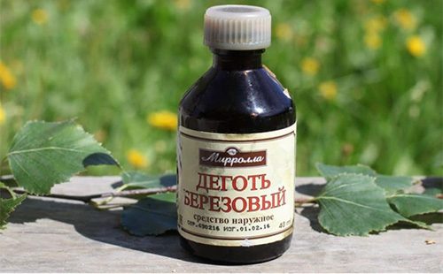 Smoła brzozowa w butelce