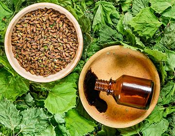 Nerki i smoła brzozowa