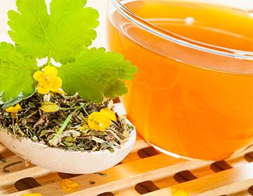 Celandine tinktur i en skål