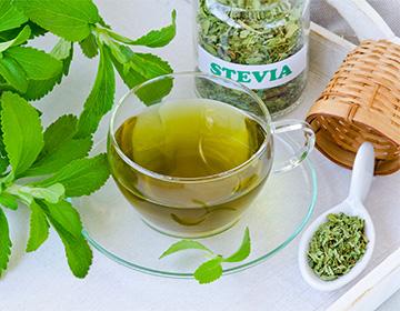 Stevia te