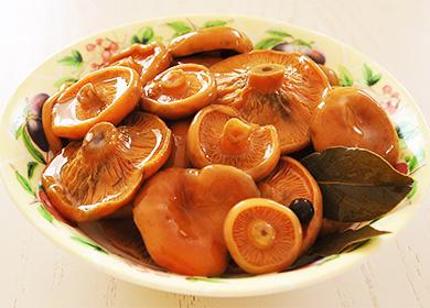 Ciuperci de șofran sărat într-o farfurie