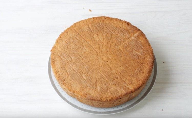 Hotovou sušenku dáváme, aby se úplně ochladila.