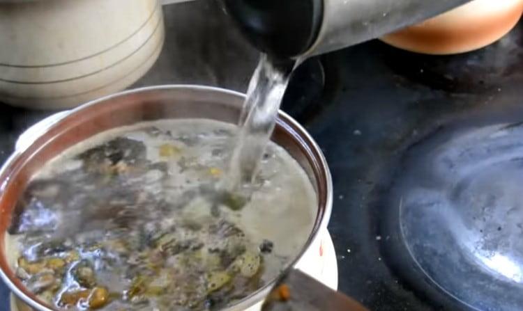 Adăugați apă, precum și condimente după gust.