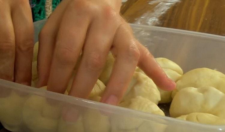 Turnăm bilele de pe blanuri, le introducem într-un recipient și le trimitem la congelator.