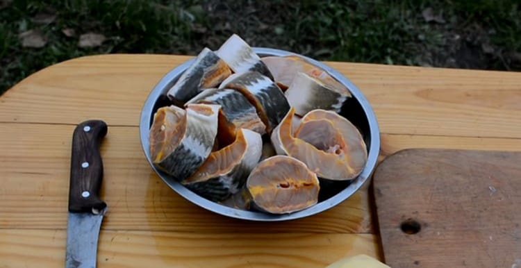 Ang mga bangkay ng Sterlet ay pinutol sa mga bahagi.